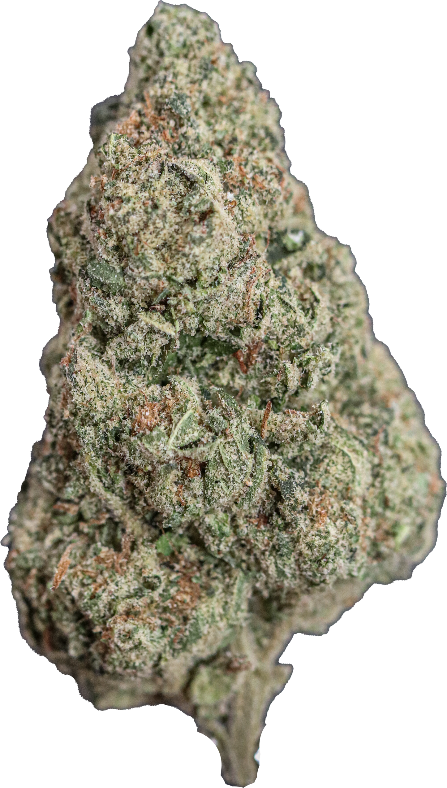Cherry Runtz