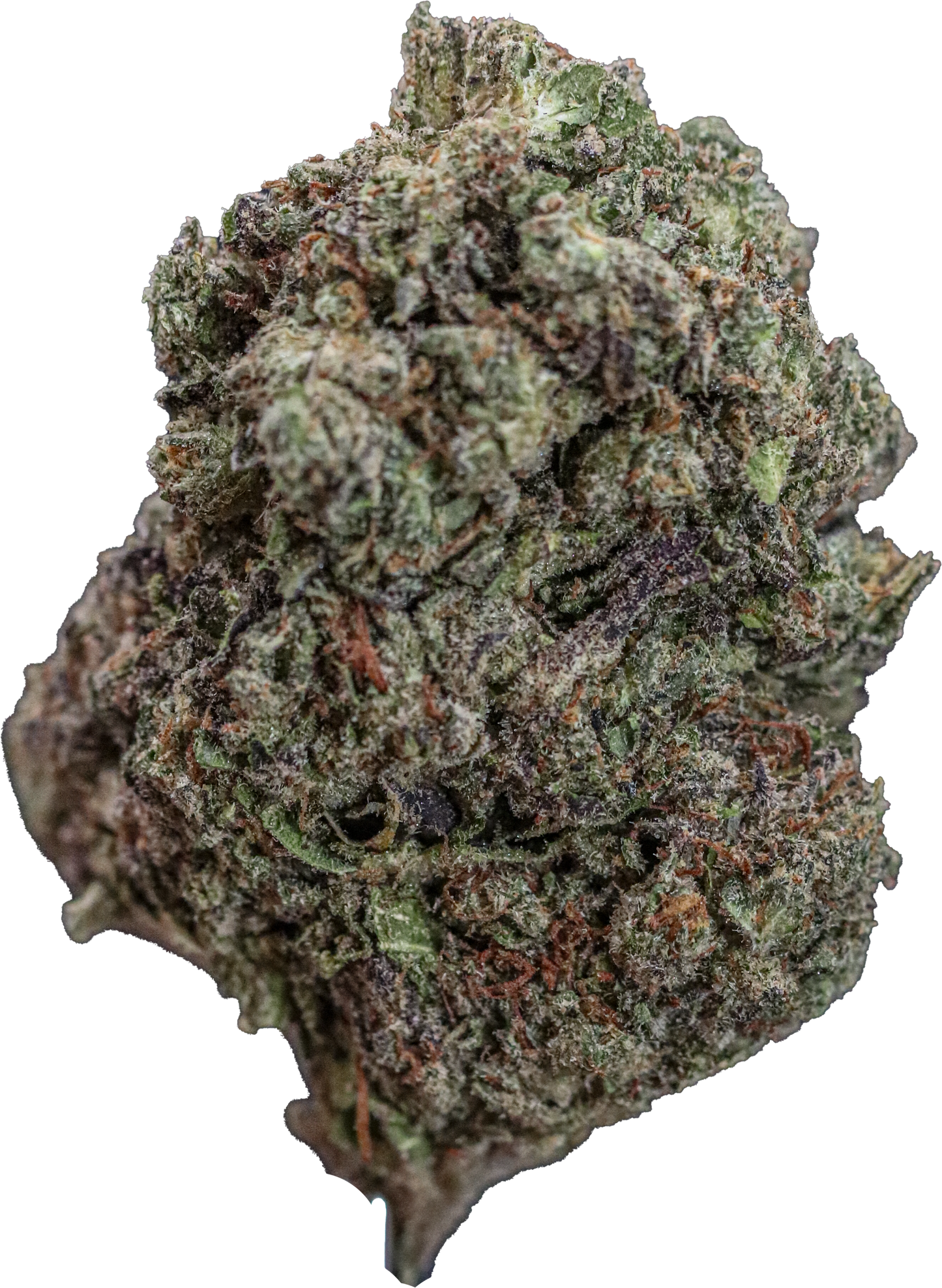 Triple Gelato