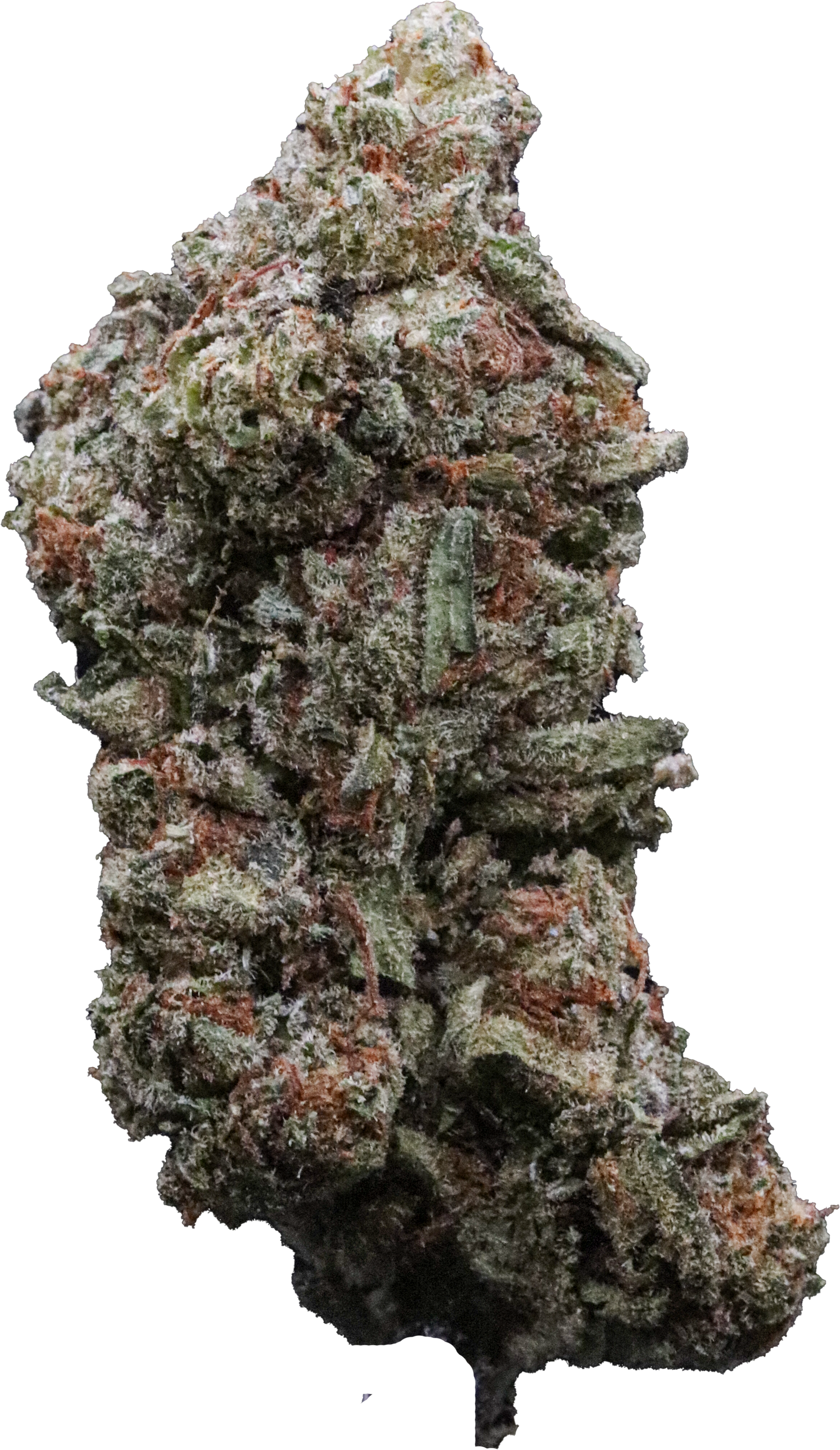 Glassy Low