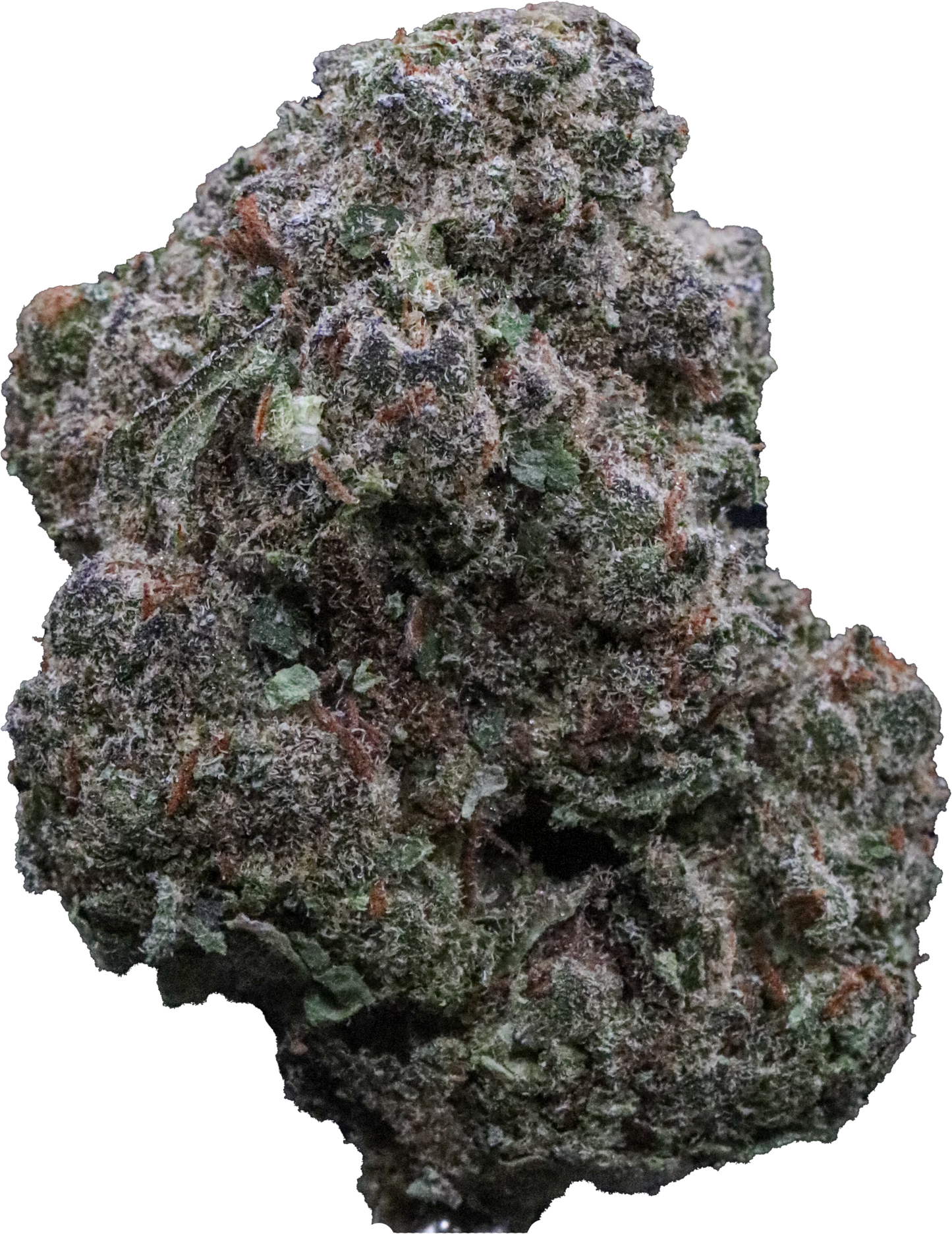 GPZ