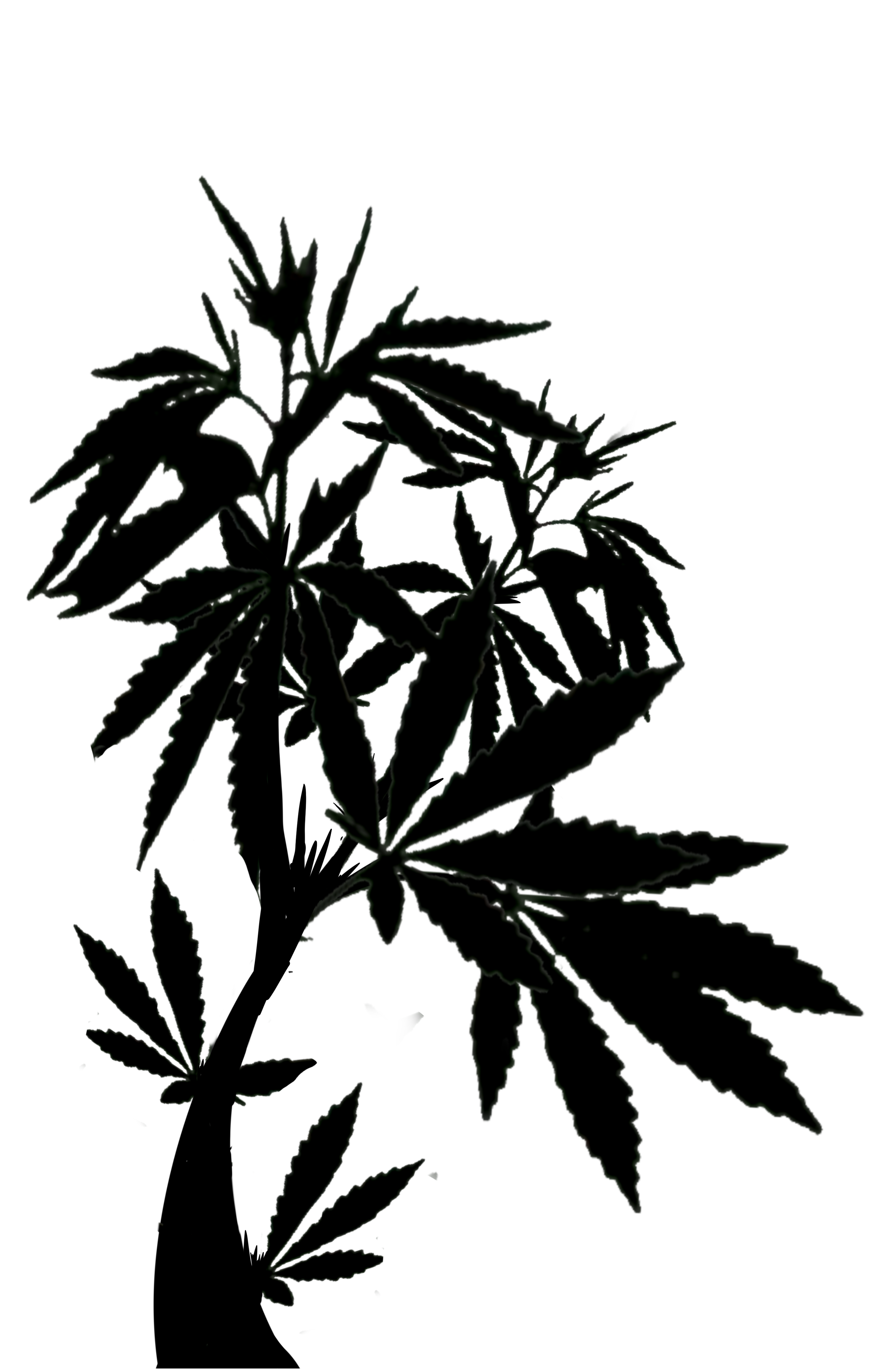 Leaf Left