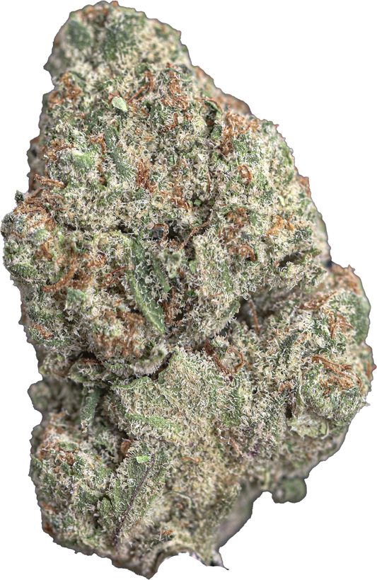 Black Truffle