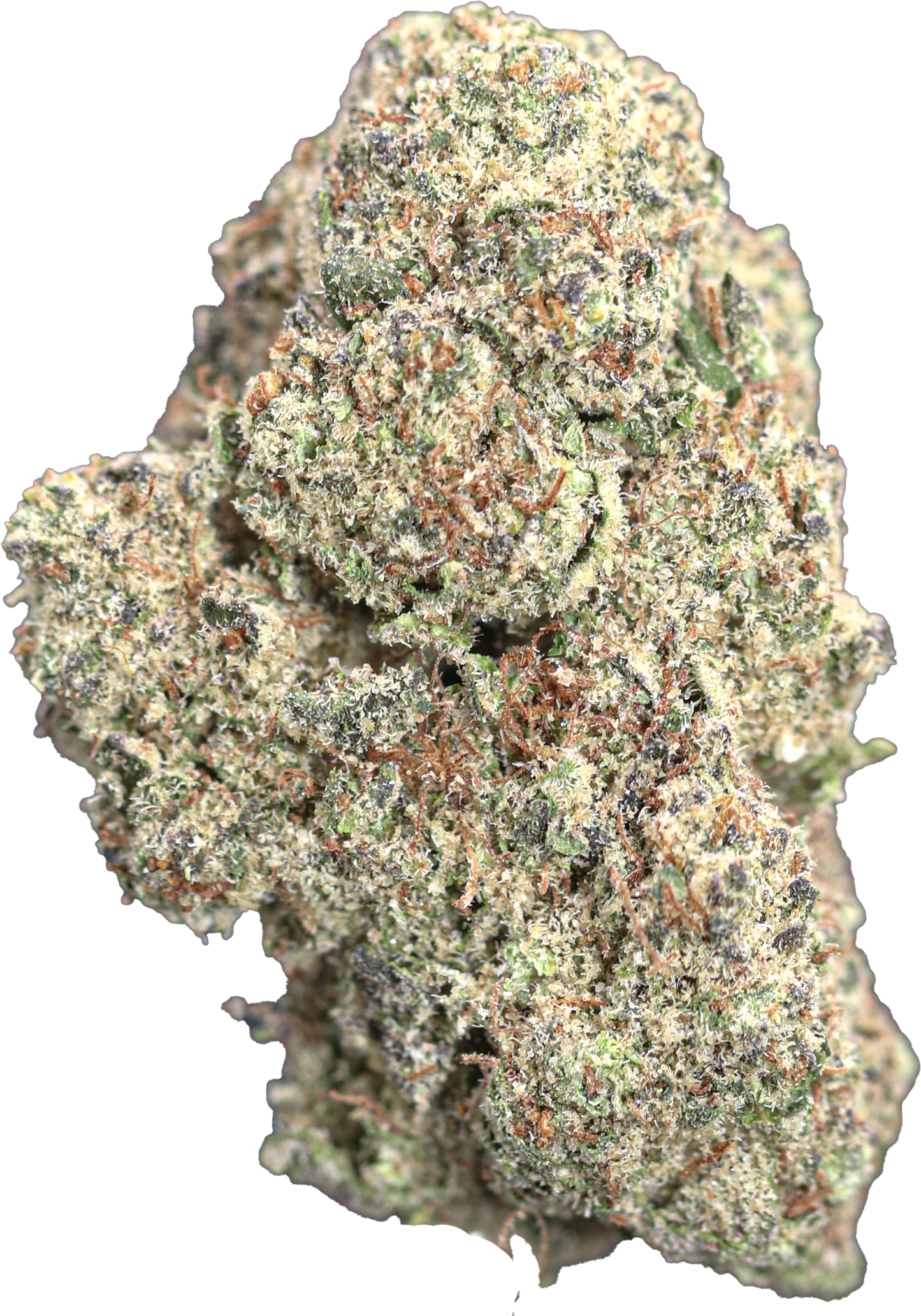 Bubblegum Kush