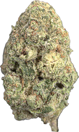 Cherry Nova