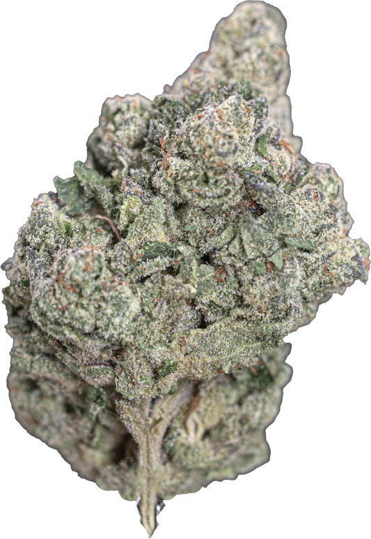 Gelato Runtz