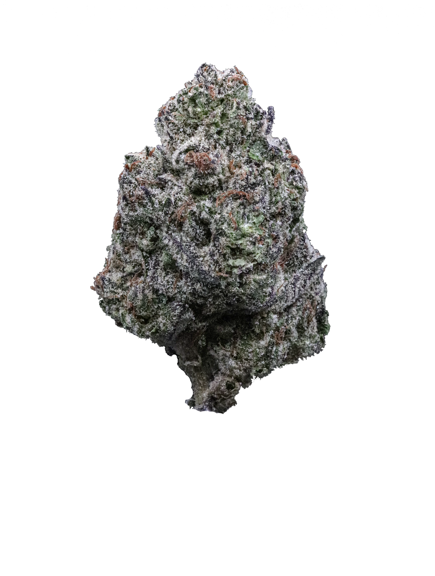 Space Cake