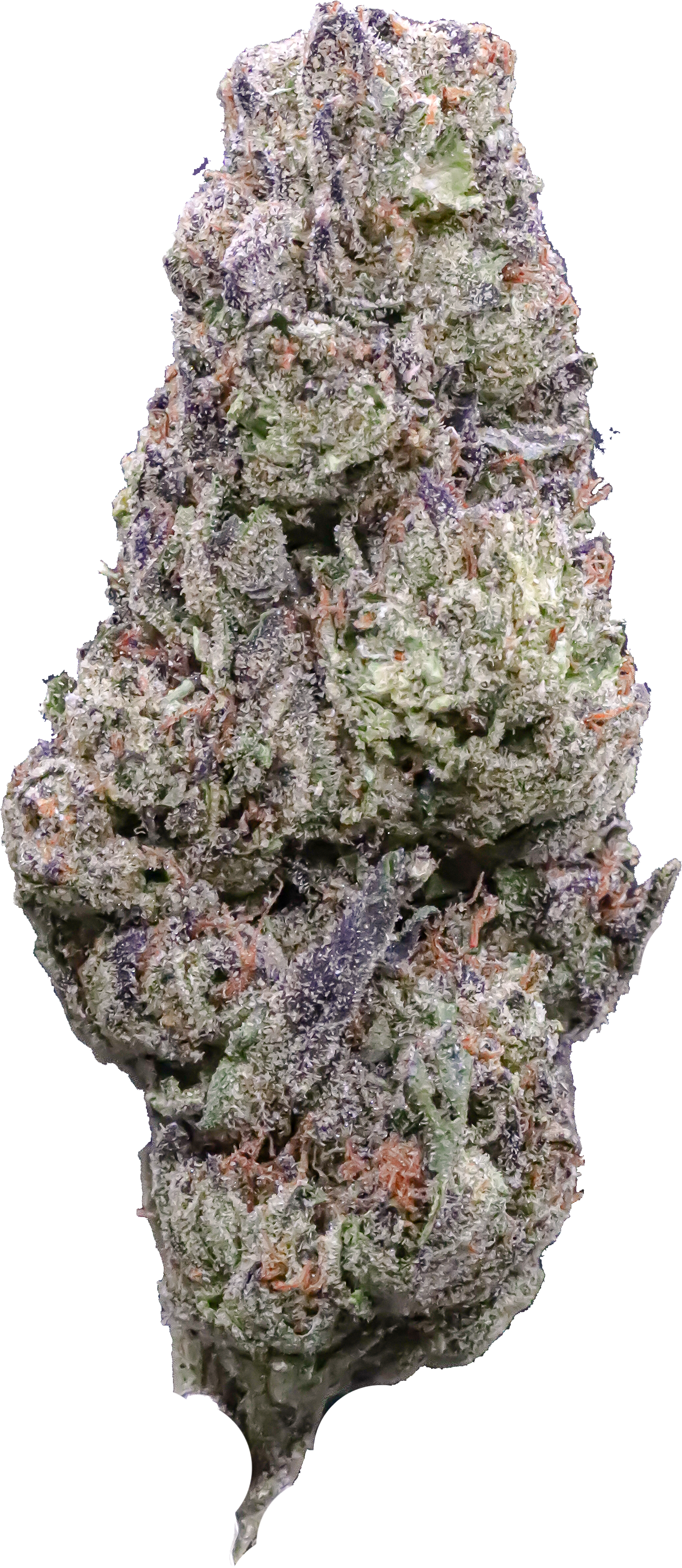 Purple Cream #2