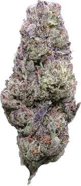 Purple Cream #2