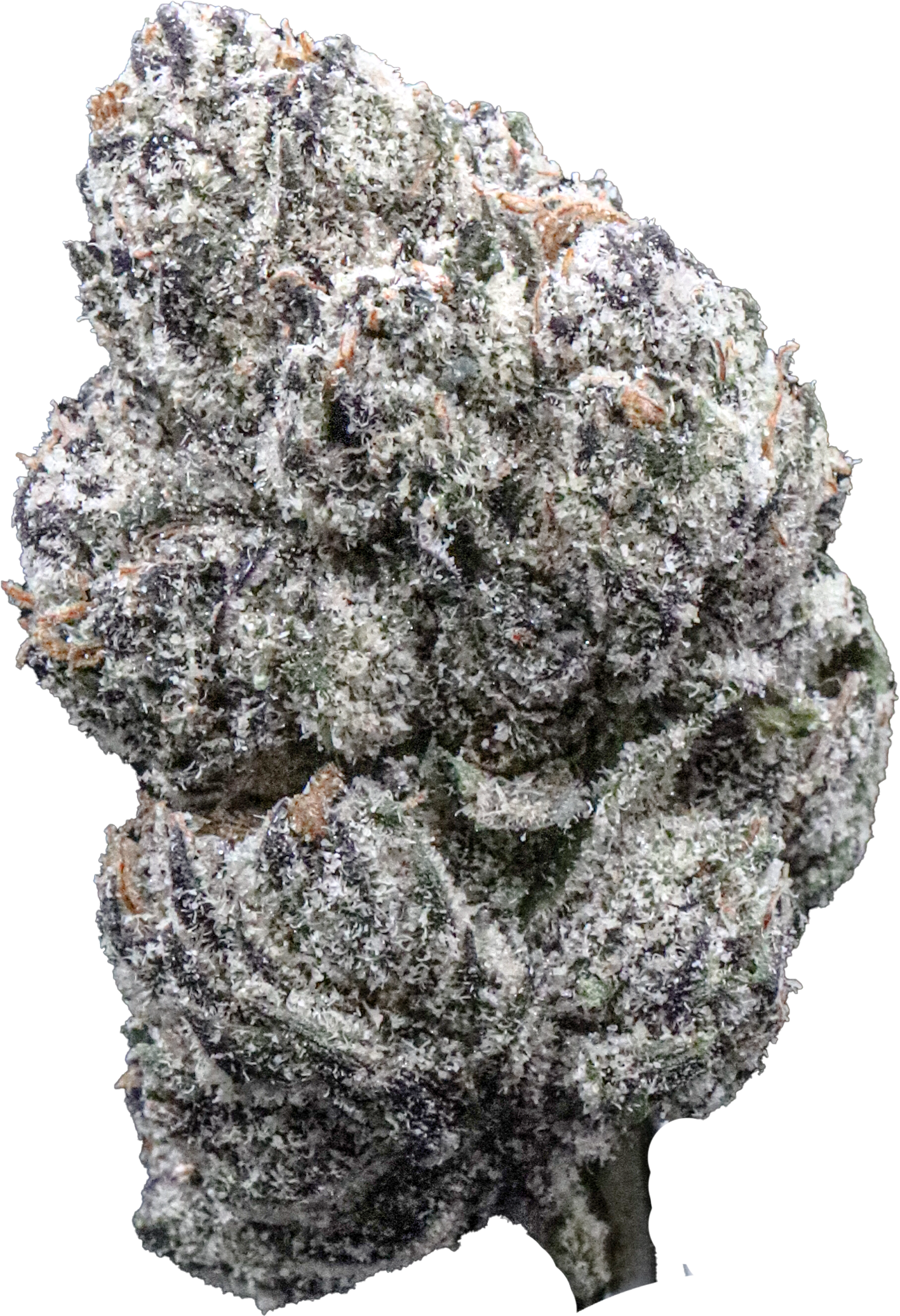 Bubblegum LCG