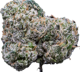 Blue Starburst