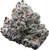 Jaw Breaker Gelato M