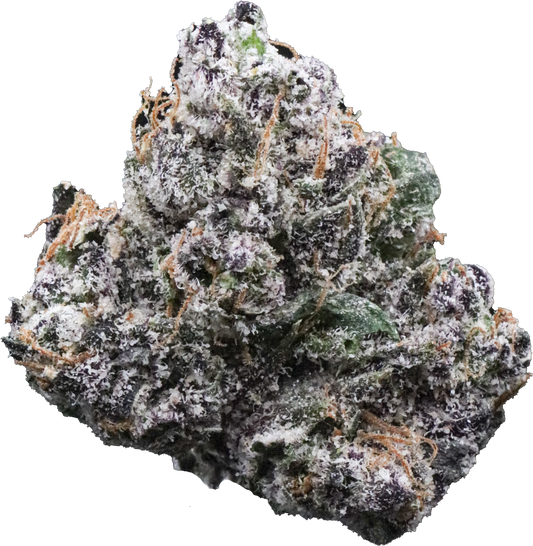 Jaw Breaker Gelato M