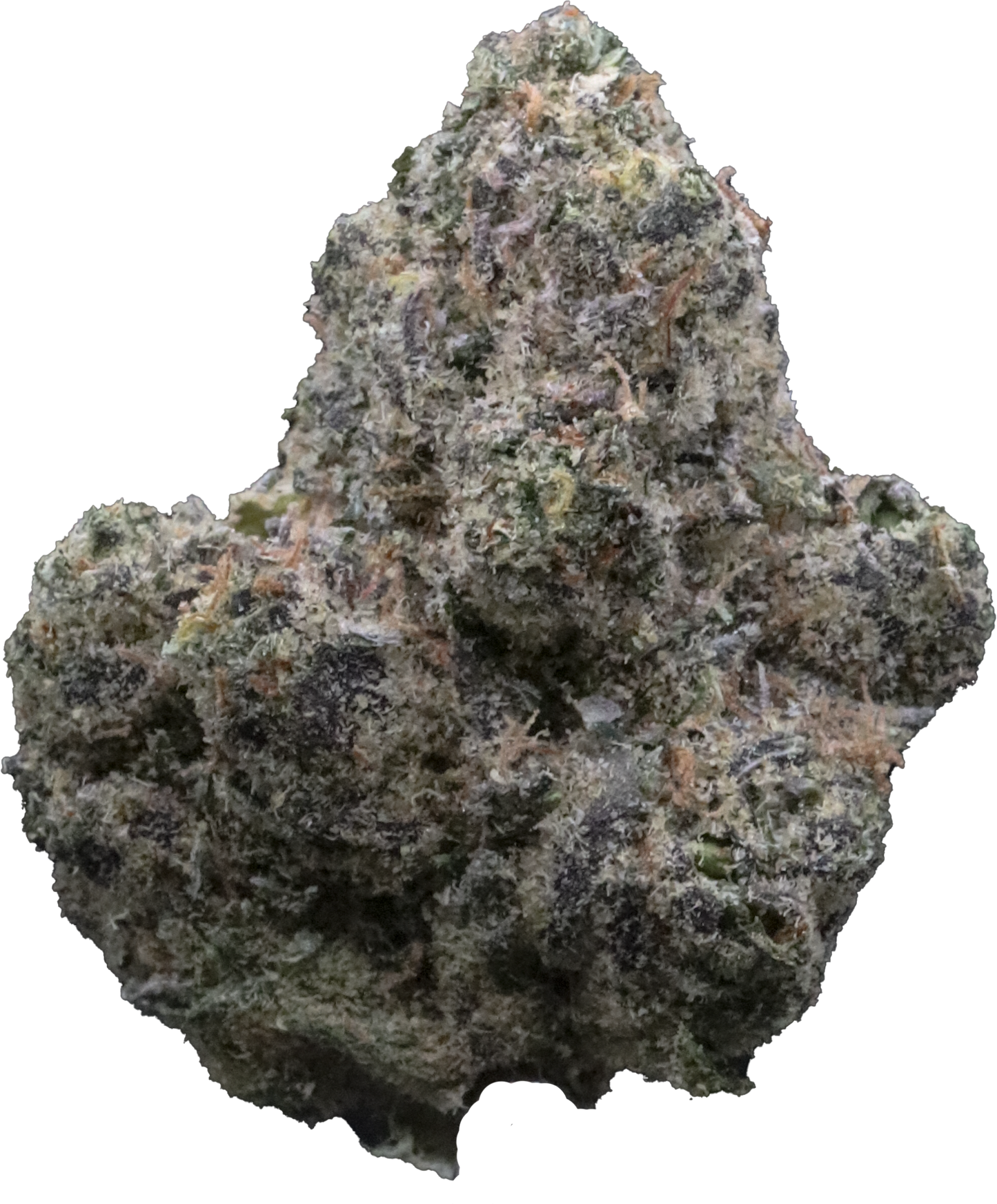 Lemon Drops