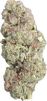 Marmalade Gelato
