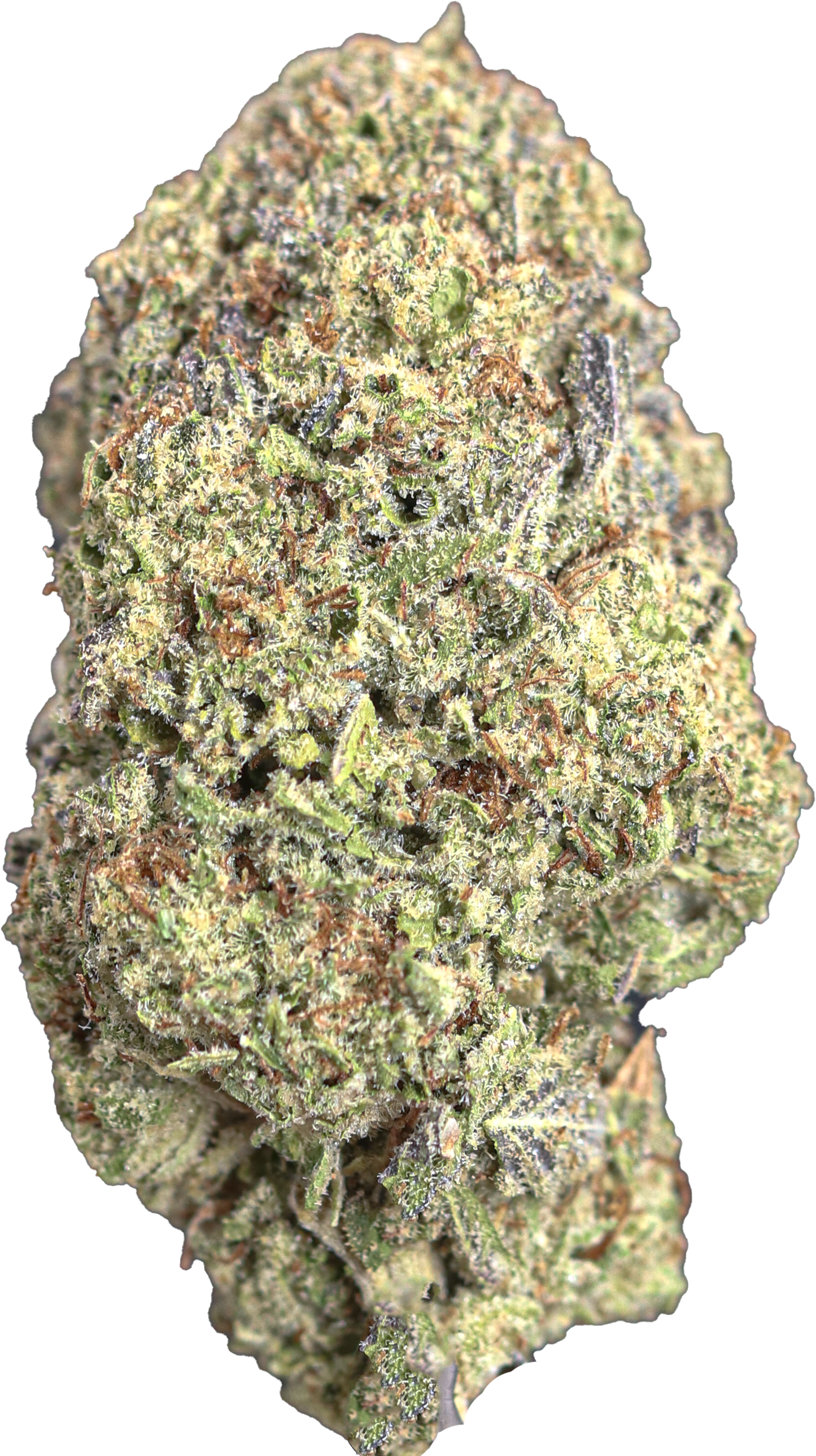 Oreoz