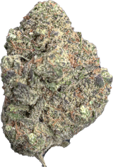 Space Gelato