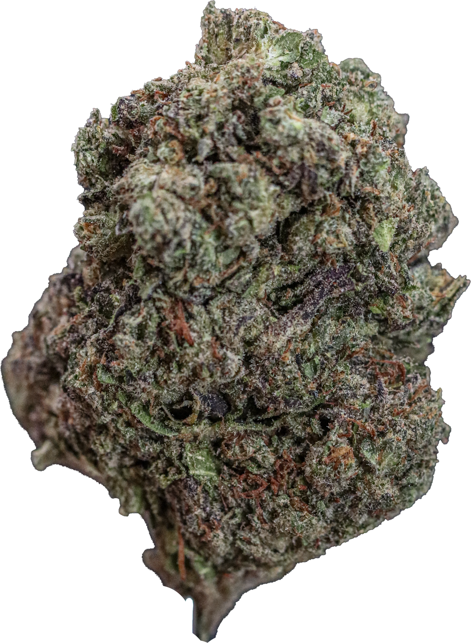 Triple Gelato