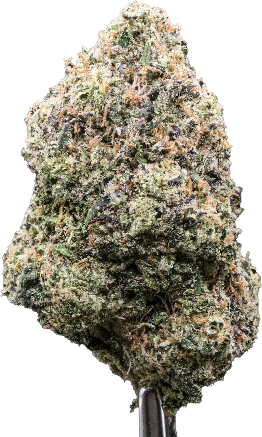 Dior (Bulk)