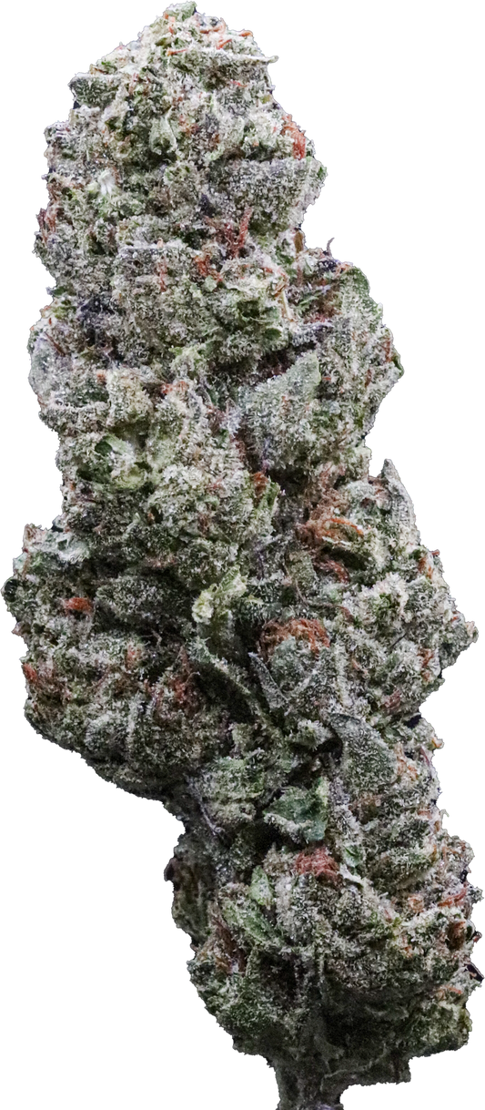 Double Gelato