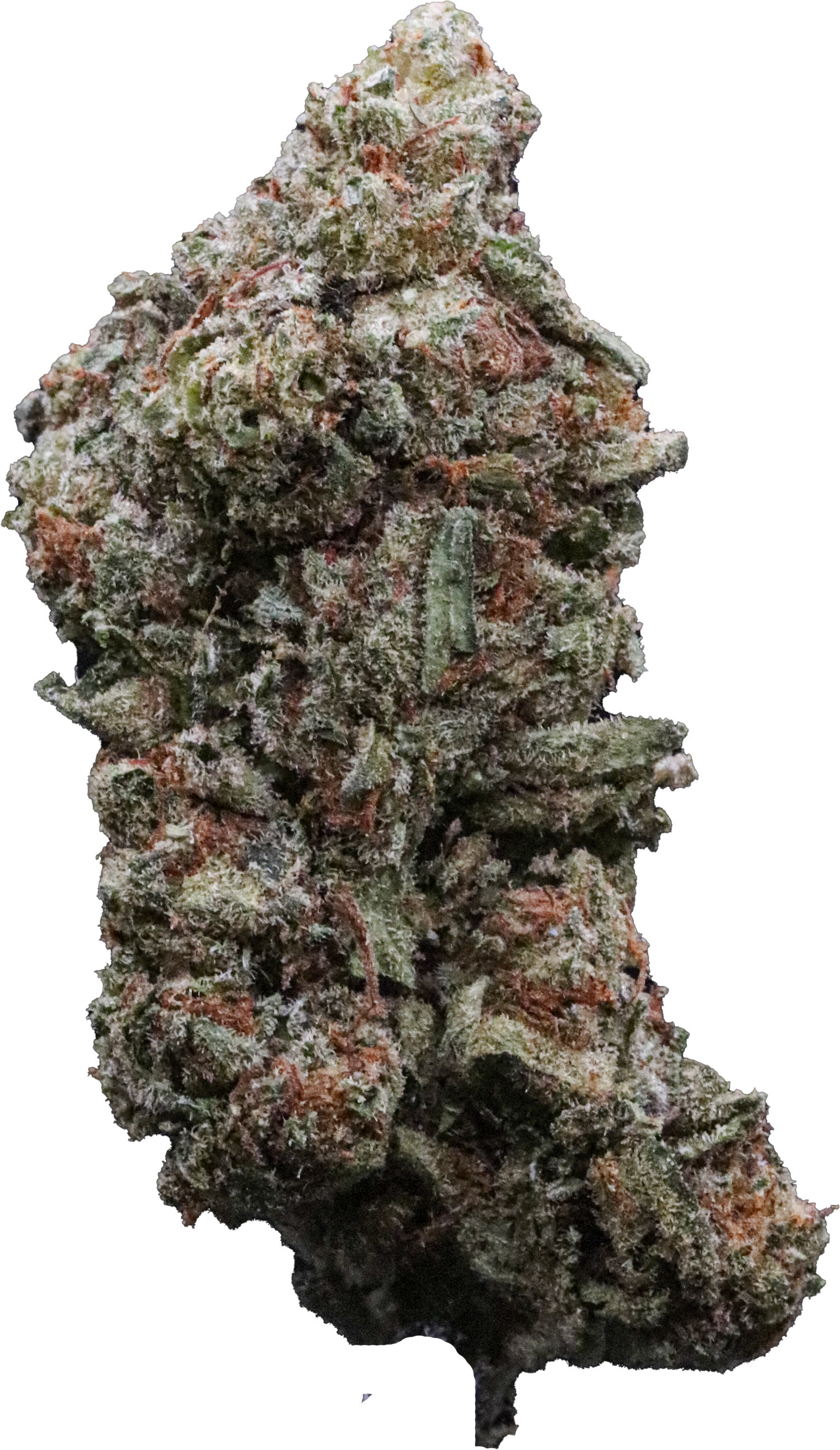 Glassy Low