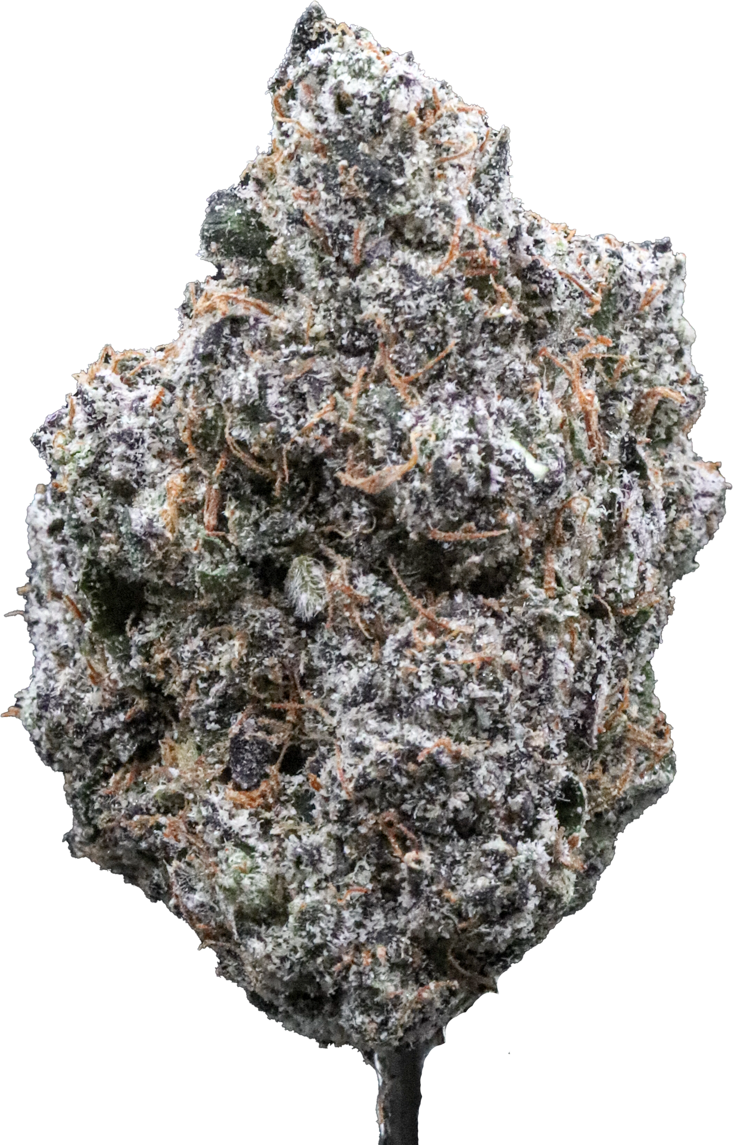 Jaw Breaker Gelato