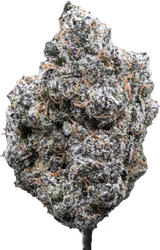Jaw Breaker Gelato