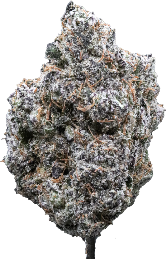 Jaw Breaker Gelato