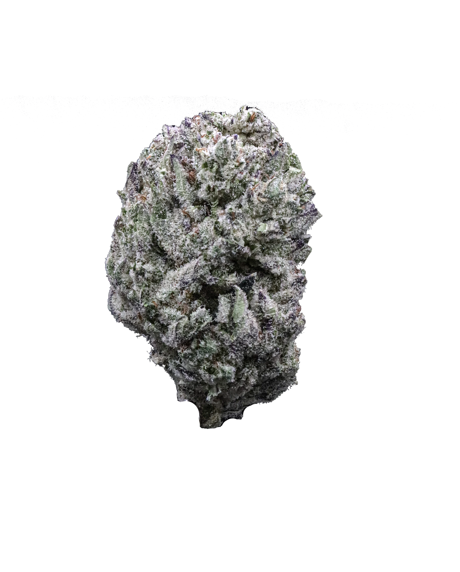 Oreoz
