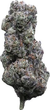 Purple Cream #1