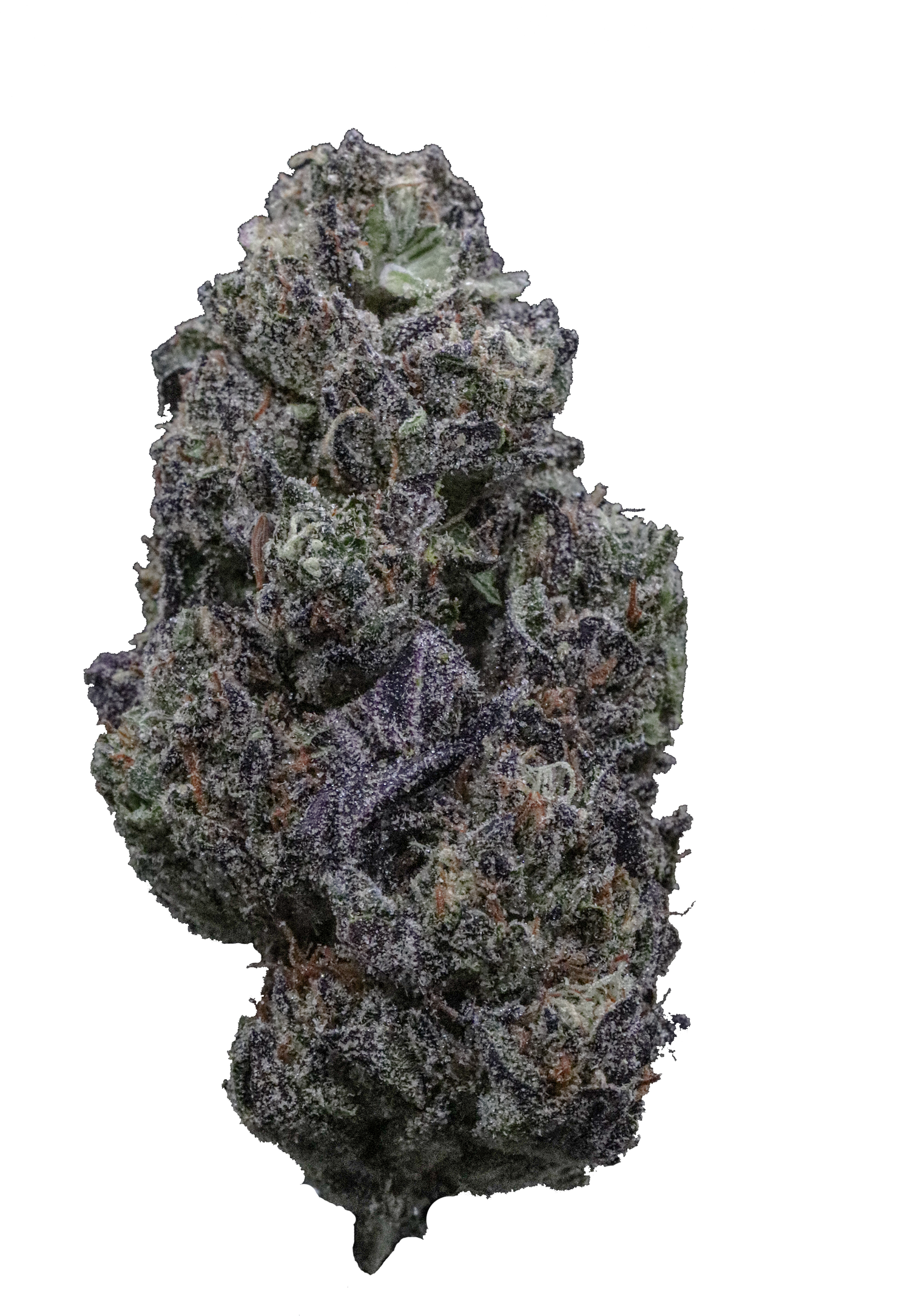 Platinum Cookies