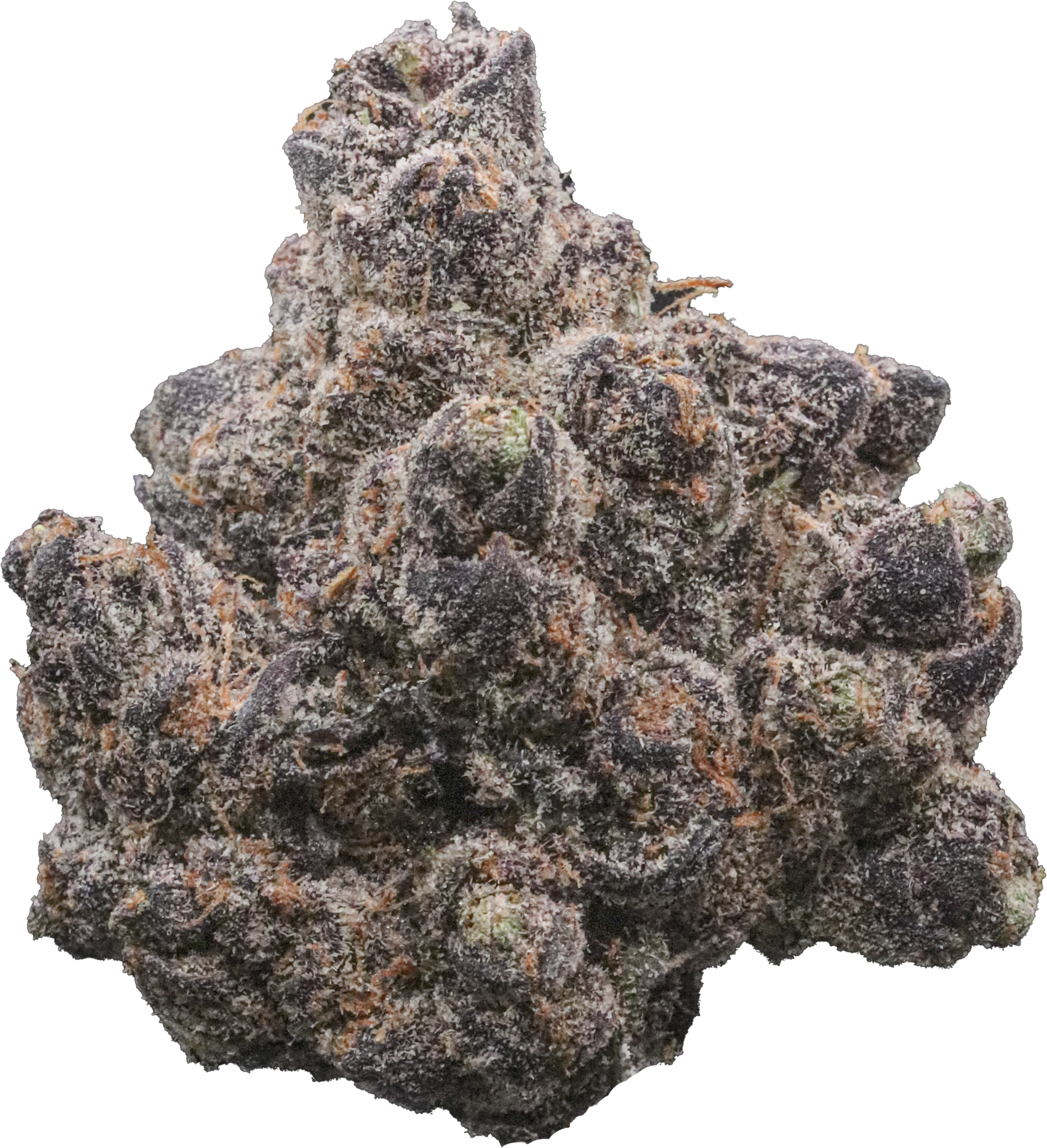 Bud Still